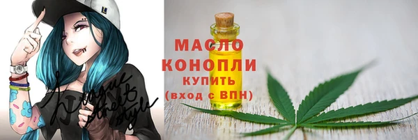 гашик Бронницы