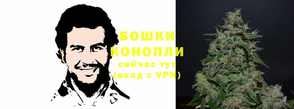 гашик Богородицк
