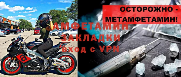 индика Бородино