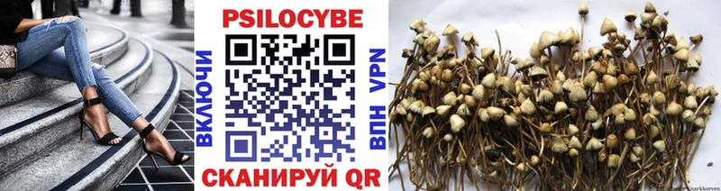 где продают   Верхняя Тура  Галлюциногенные грибы ЛСД 